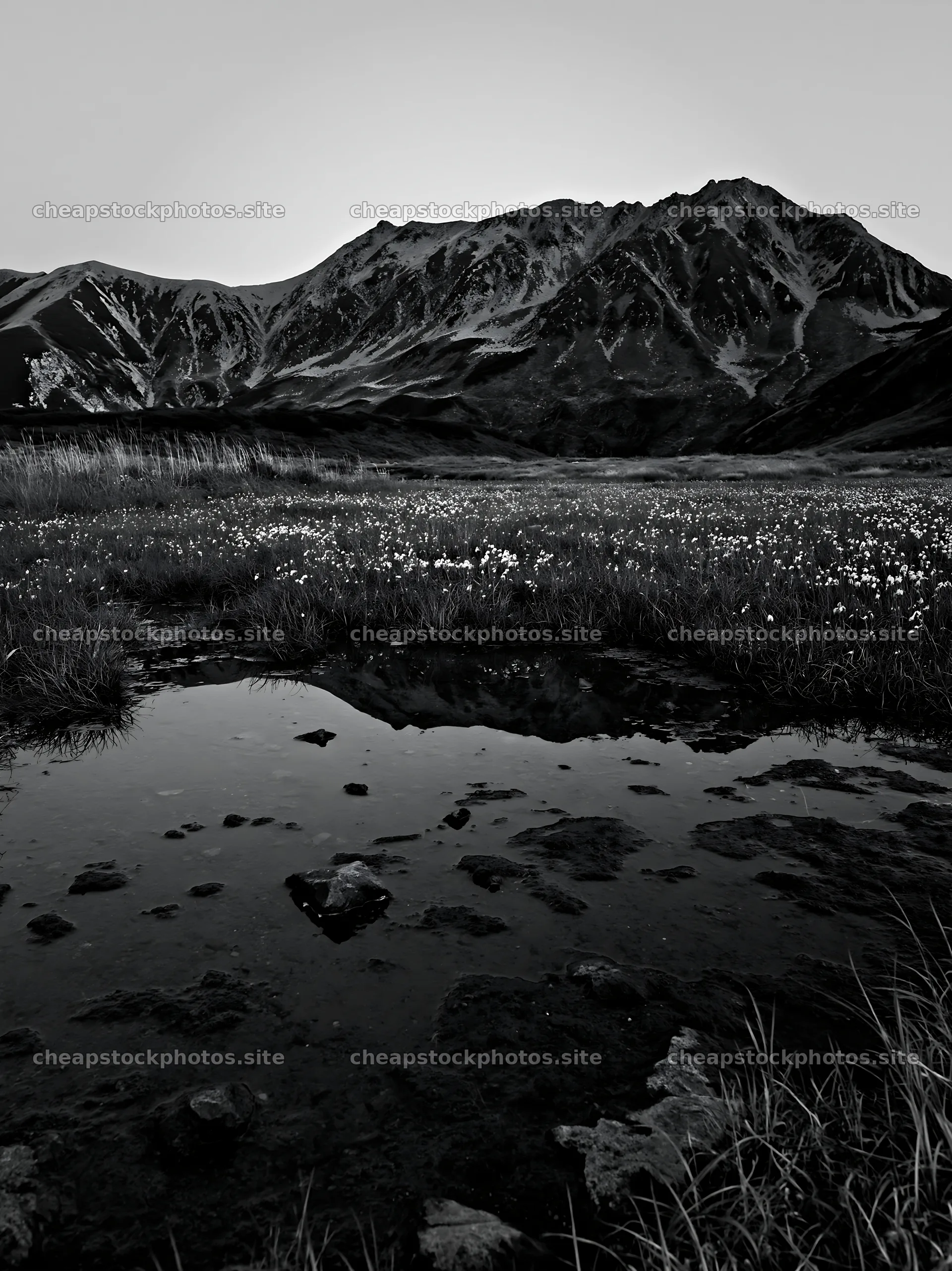 Toyama alpine meadow snowmelt rock foreground with reflections – stock photos 6866x9174