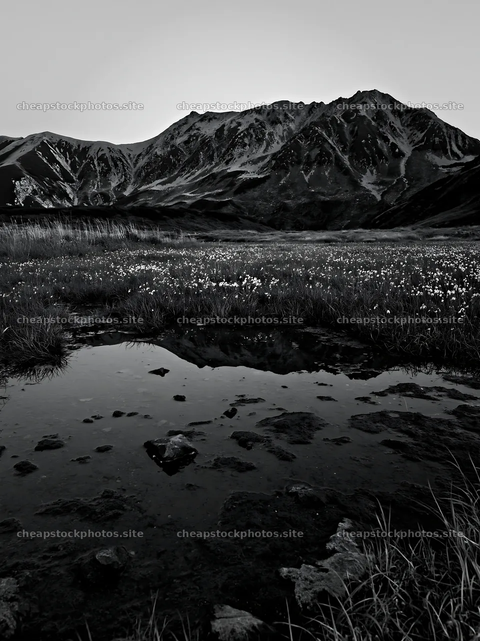 Toyama alpine meadow snowmelt rock foreground with reflections – stock photos 6866x9174
