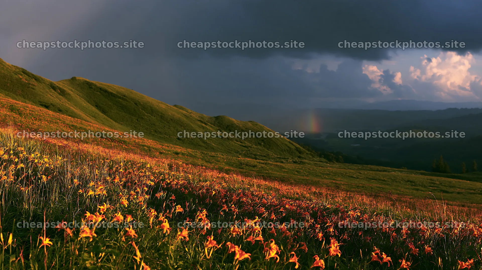 Kirigamine highland daylily meadow under dark clouds – stock photos 10608x5938