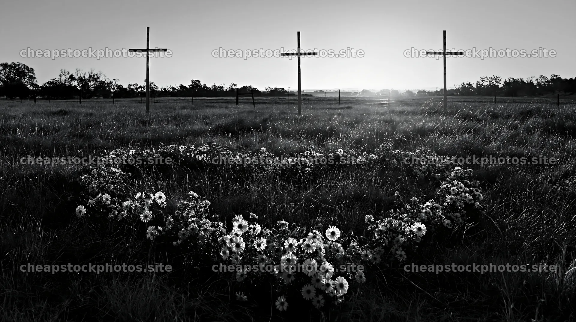 Three Christian crosses in Christmas meadow at sunrise – stock photos 10608x5938