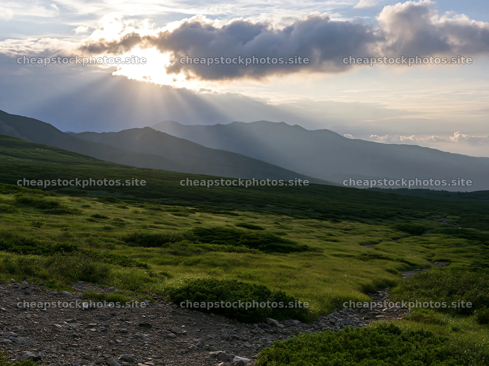 Daisetsuzan alpine meadow with light rays at sunset – stock photos 9174x6866