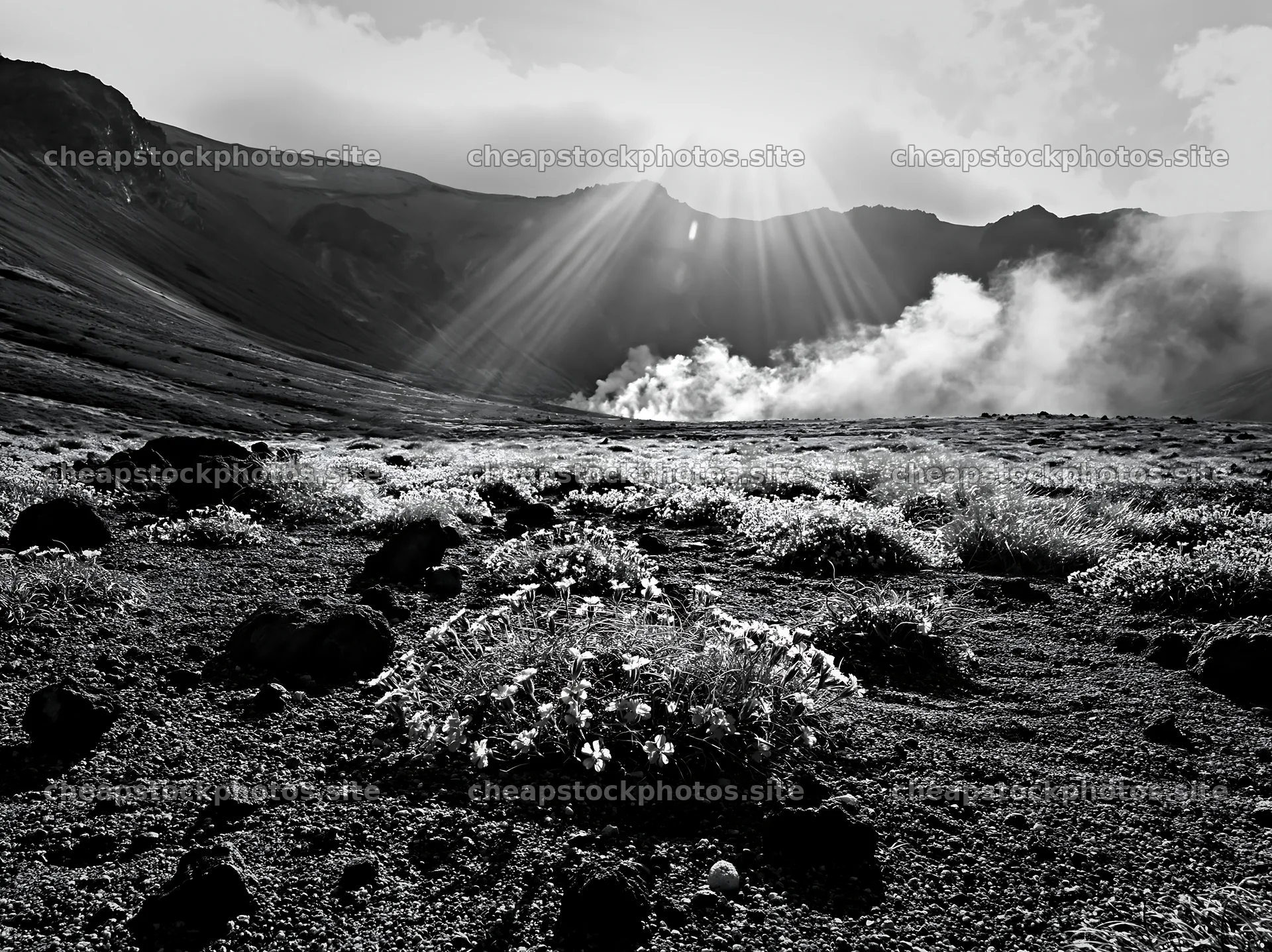Daisetsuzan alpine meadow with light rays in black and white – stock photos 9174x6866