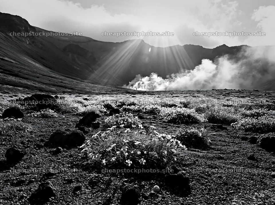 Daisetsuzan alpine meadow with light rays in black and white – stock photos 9174x6866