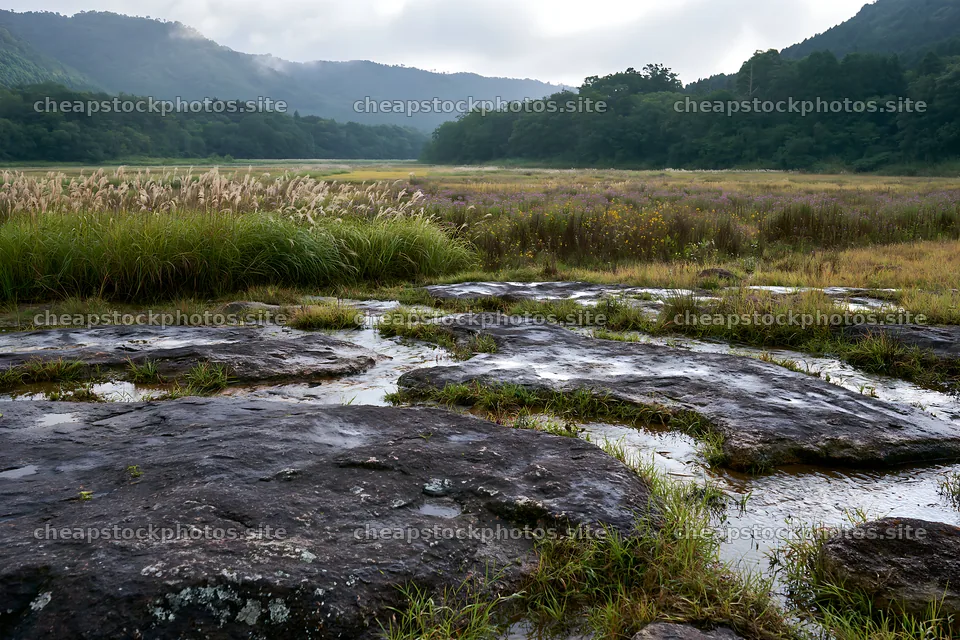 Hiroshima meadow with smooth rocks in rainy weather – stock photos 9722x6480