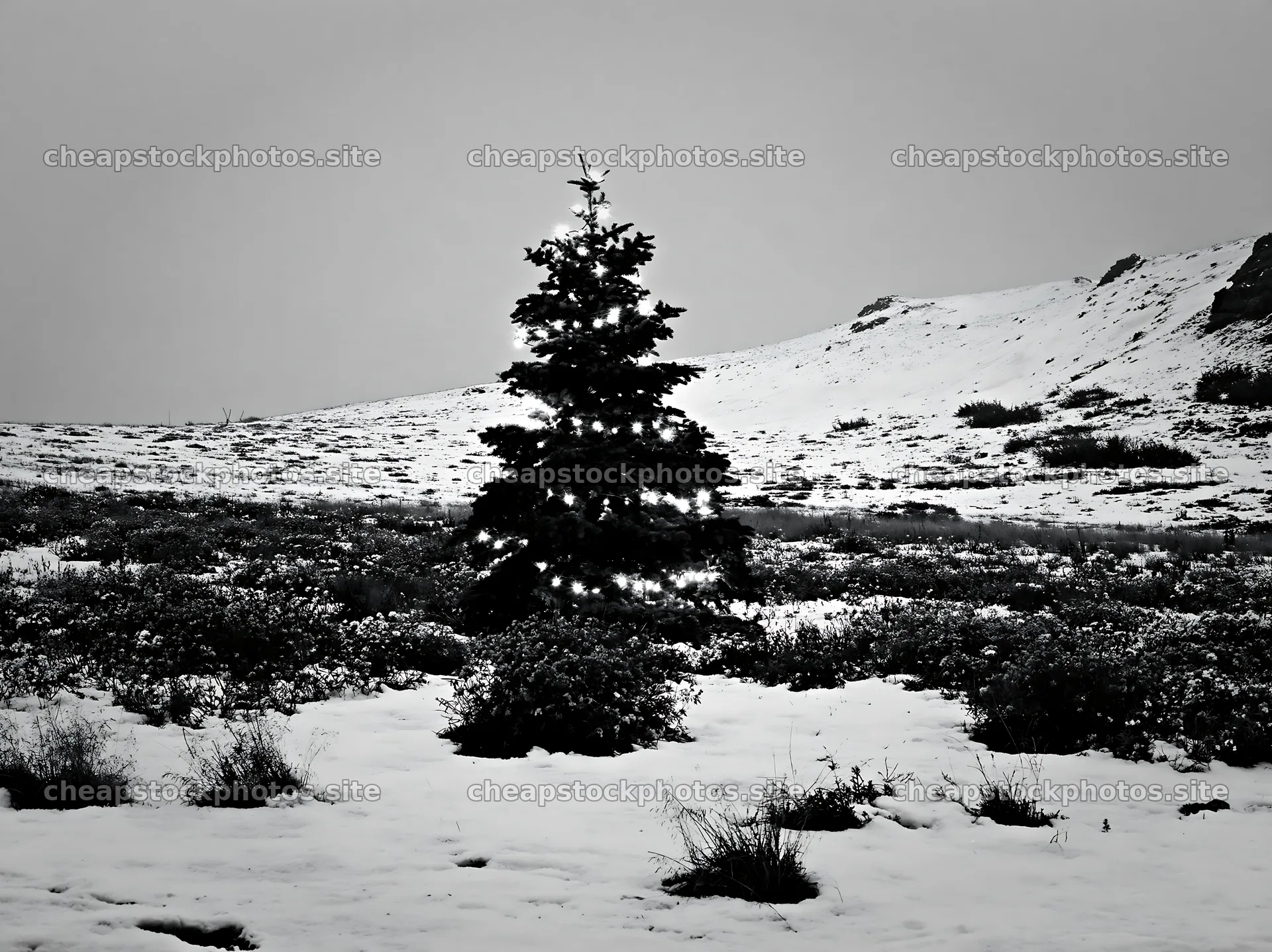 Decorated Christmas tree in snowy meadow at dusk – stock photos 9174x6866