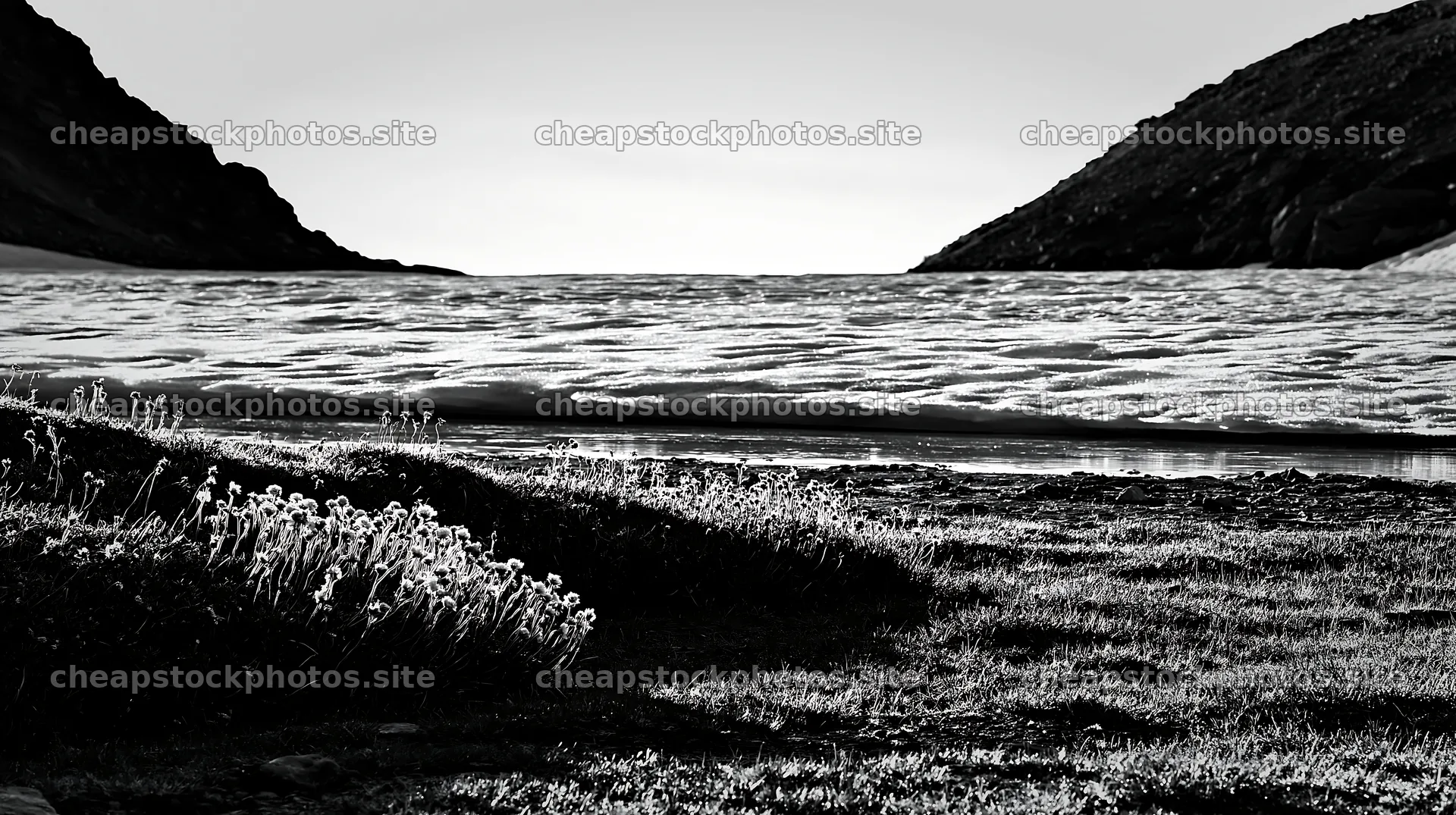 Frozen tarn meadow with snow and grassland landscape – stock photos 10608x5938