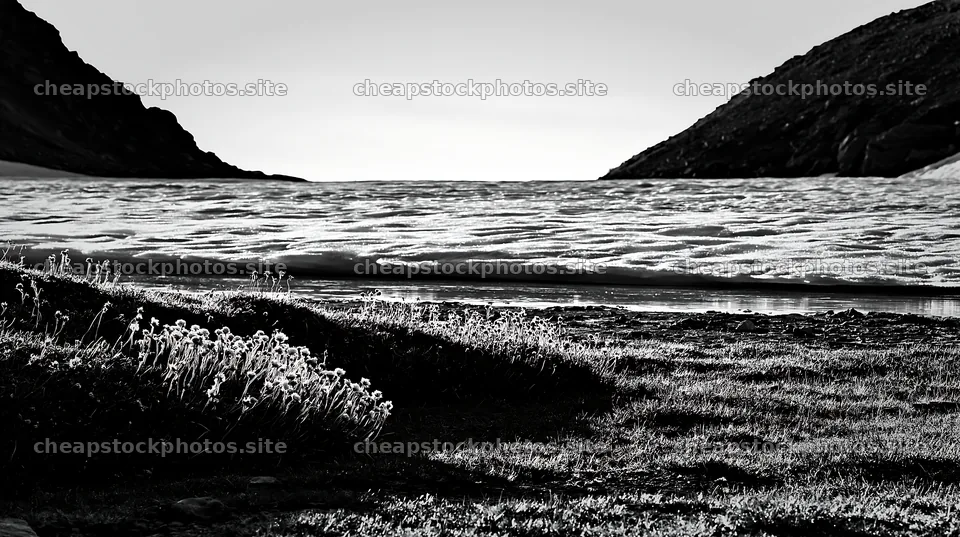 Frozen tarn meadow with snow and grassland landscape – stock photos 10608x5938