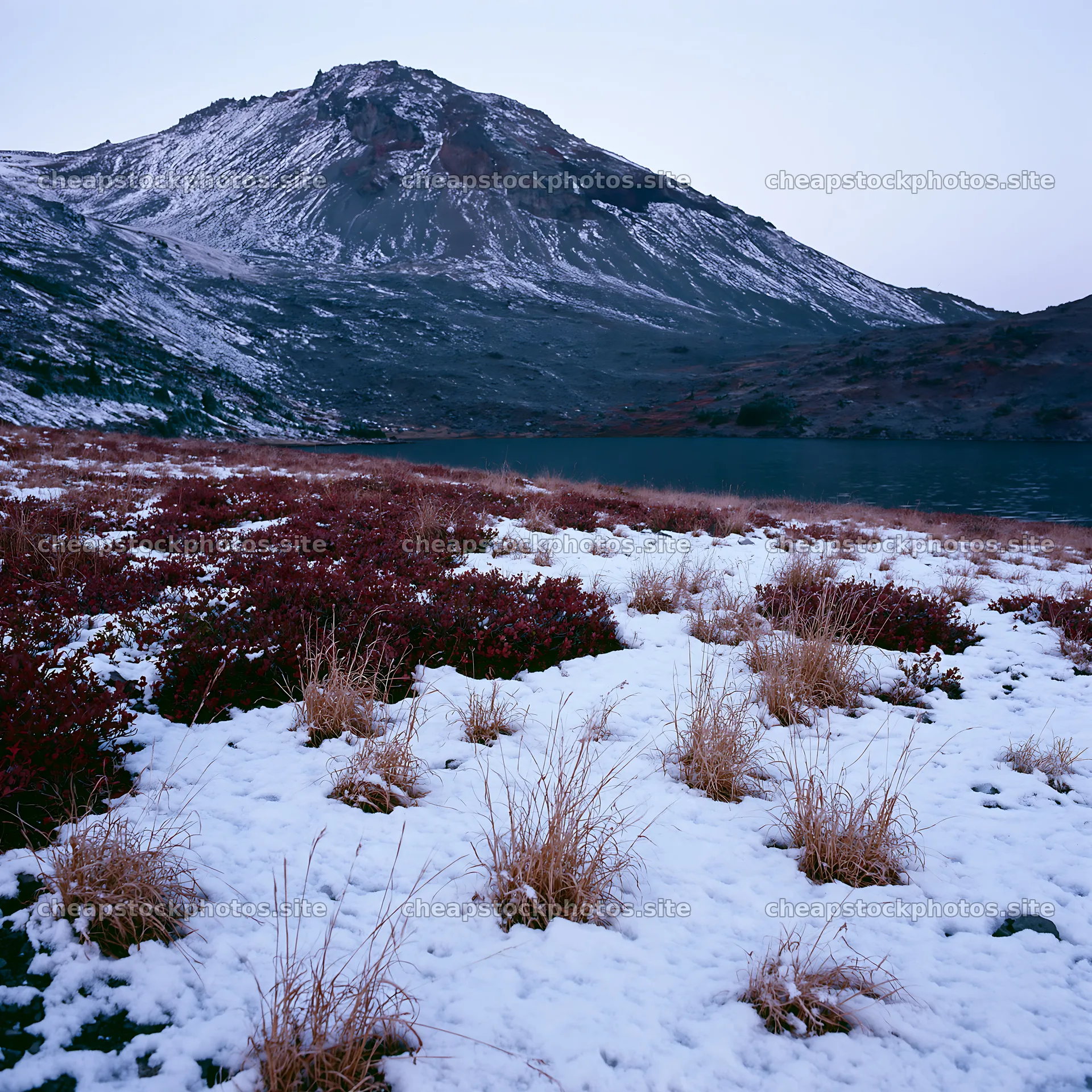 Lakeside meadow covered in snow after first snowfall – stock photos 7938x7938