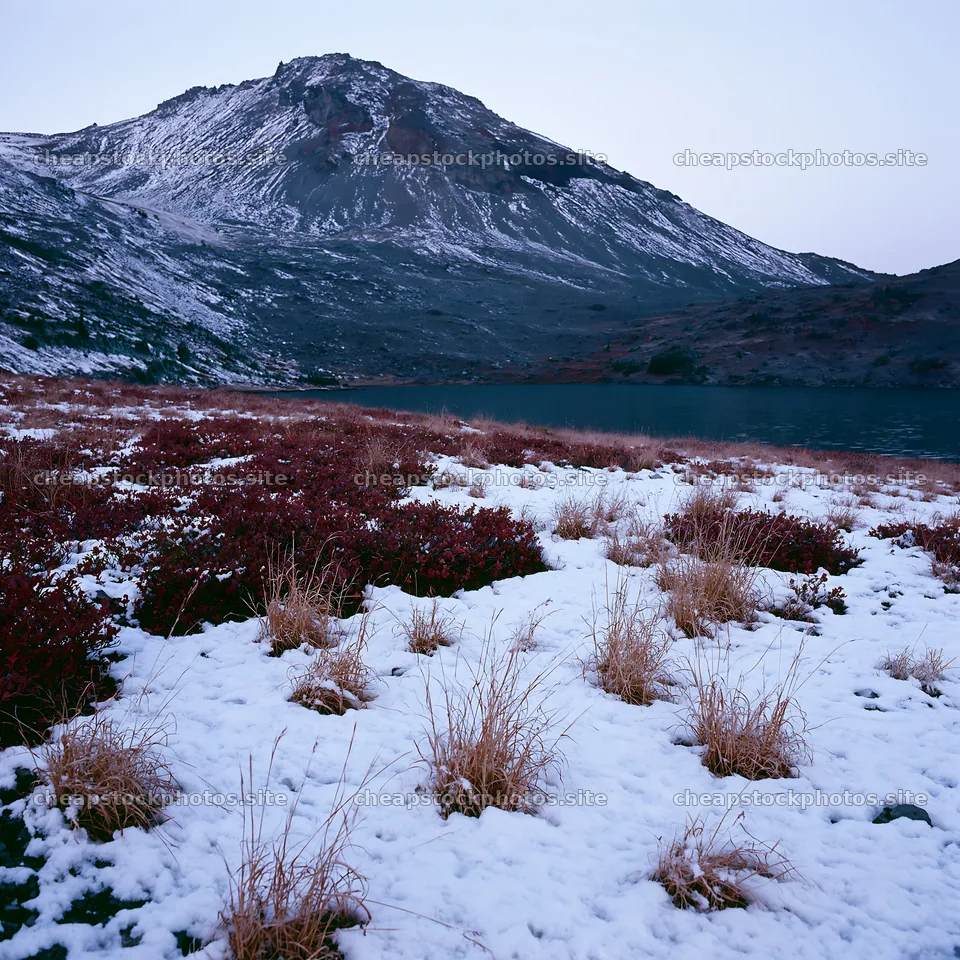 Lakeside meadow covered in snow after first snowfall – stock photos 7938x7938