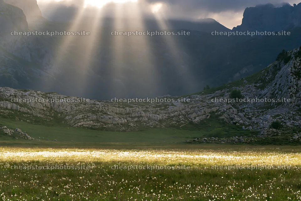 Sun rays over a meadow in Picos de Europa – stock photos 9722x6480