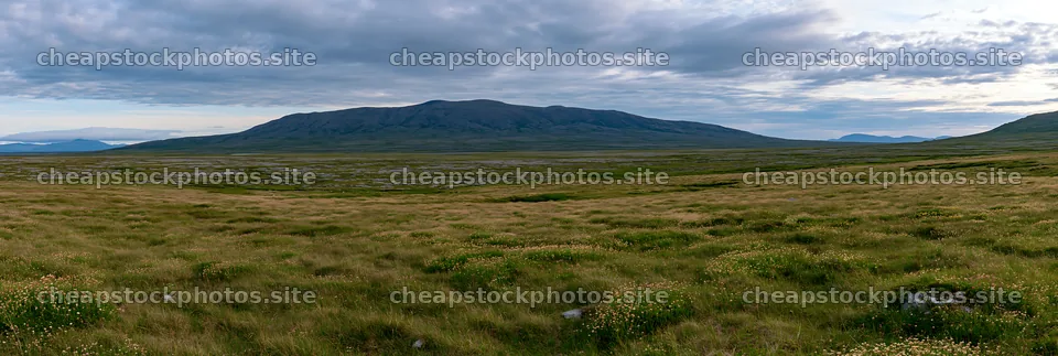 Cloudy dry flower meadow with mountains in the background – stock photos 13690x4602