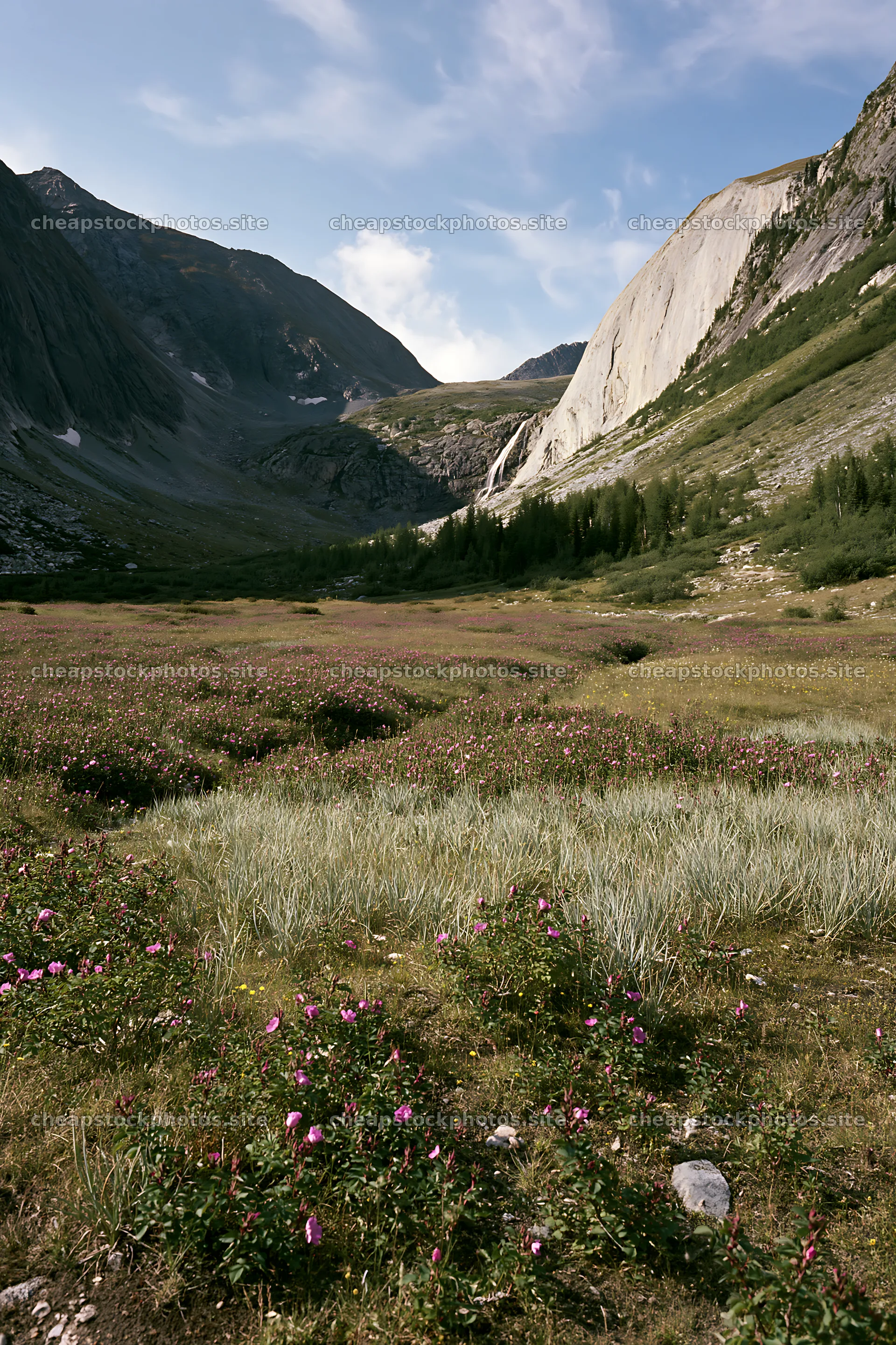 Rose meadow near a waterfall in a distant valley – stock photos 6480x9722
