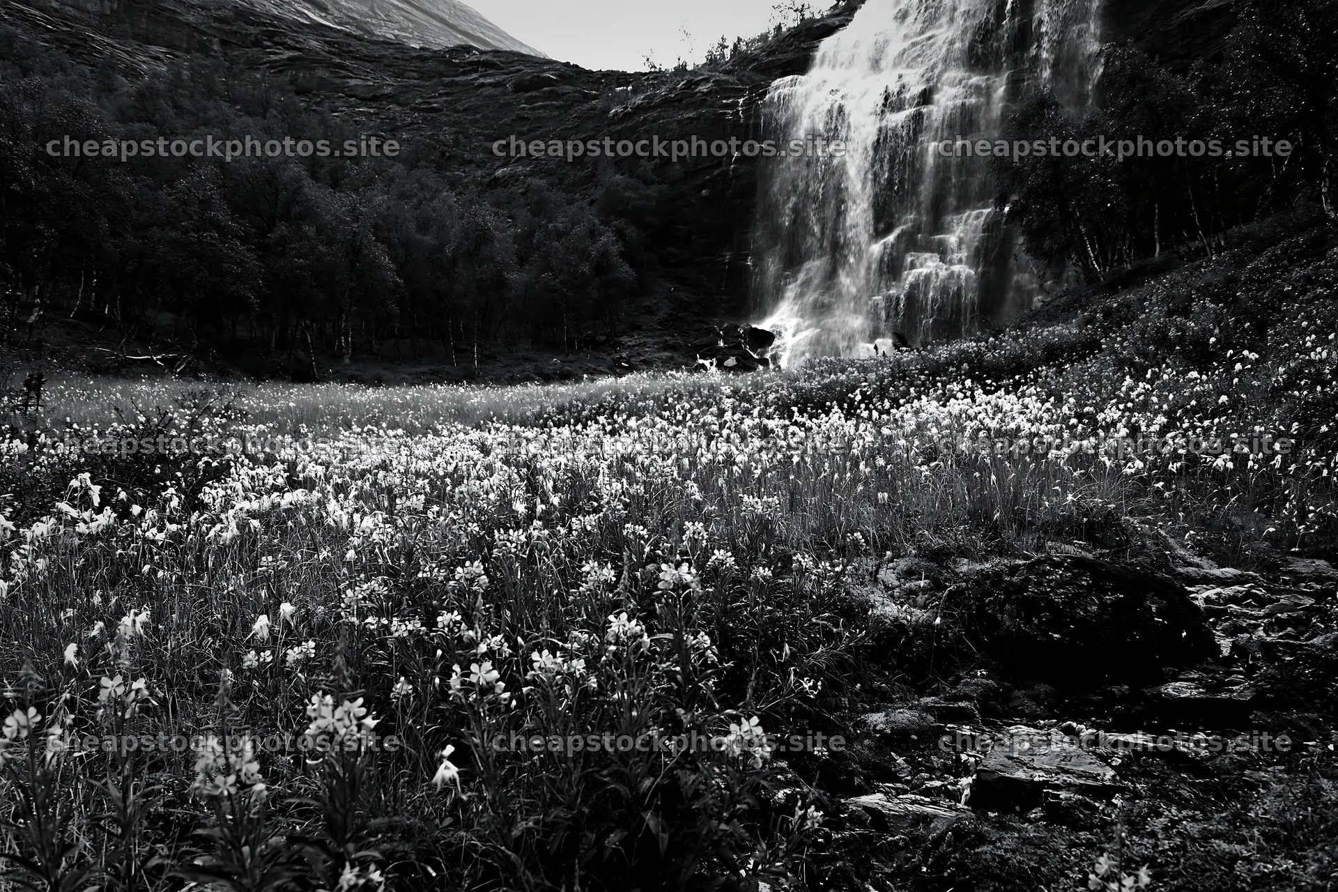 Wildflower meadow at waterfall base with flowing water – stock photos 9722x6480