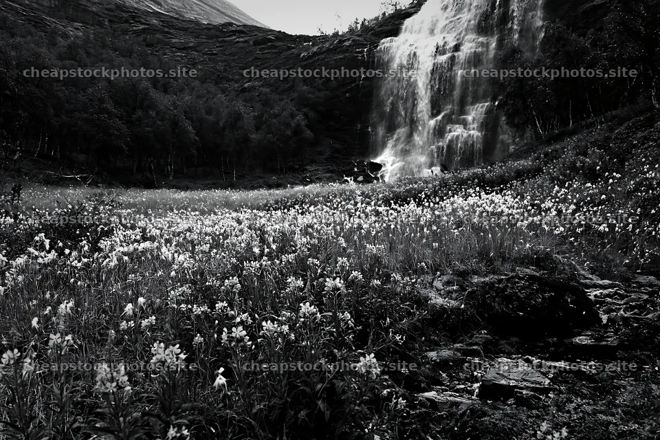 Wildflower meadow at waterfall base with flowing water – stock photos 9722x6480