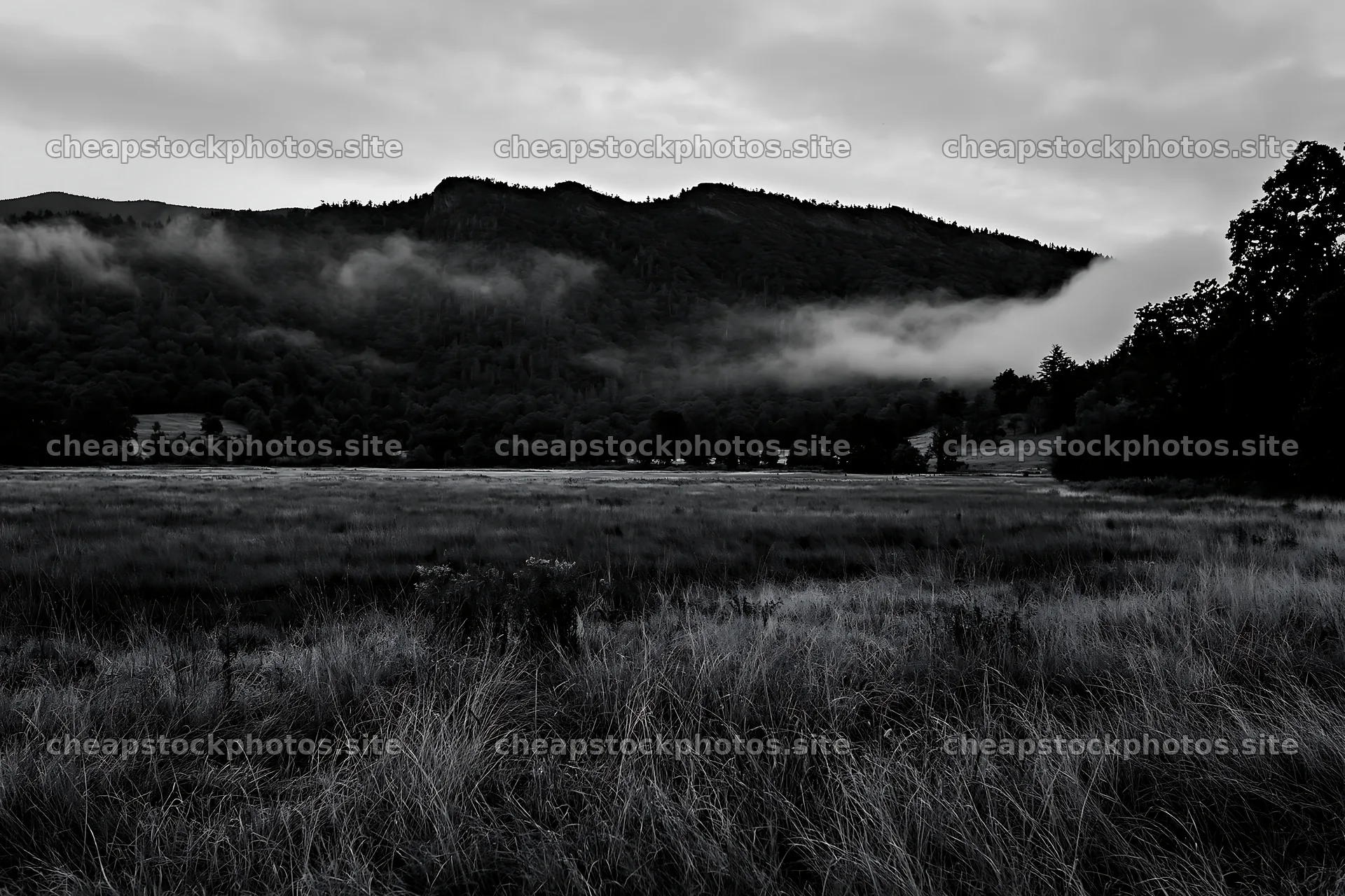 Dewy meadow with mountains and mist on a cloudy day – stock photos 9722x6480