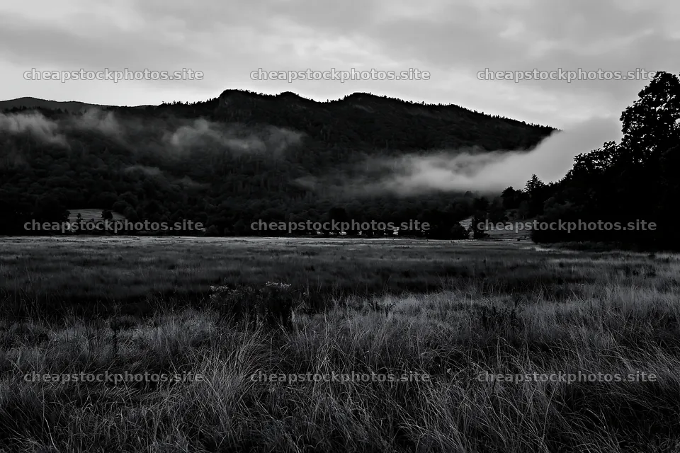 Dewy meadow with mountains and mist on a cloudy day – stock photos 9722x6480