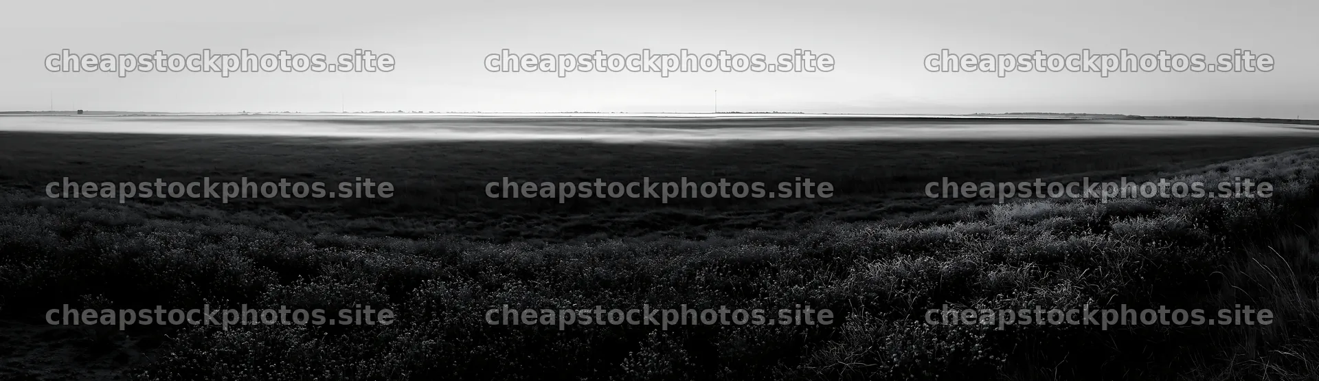 Frosty meadow at sunrise with mist in the background – stock photos 14762x4268