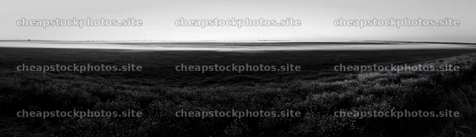 Frosty meadow at sunrise with mist in the background – stock photos 14762x4268