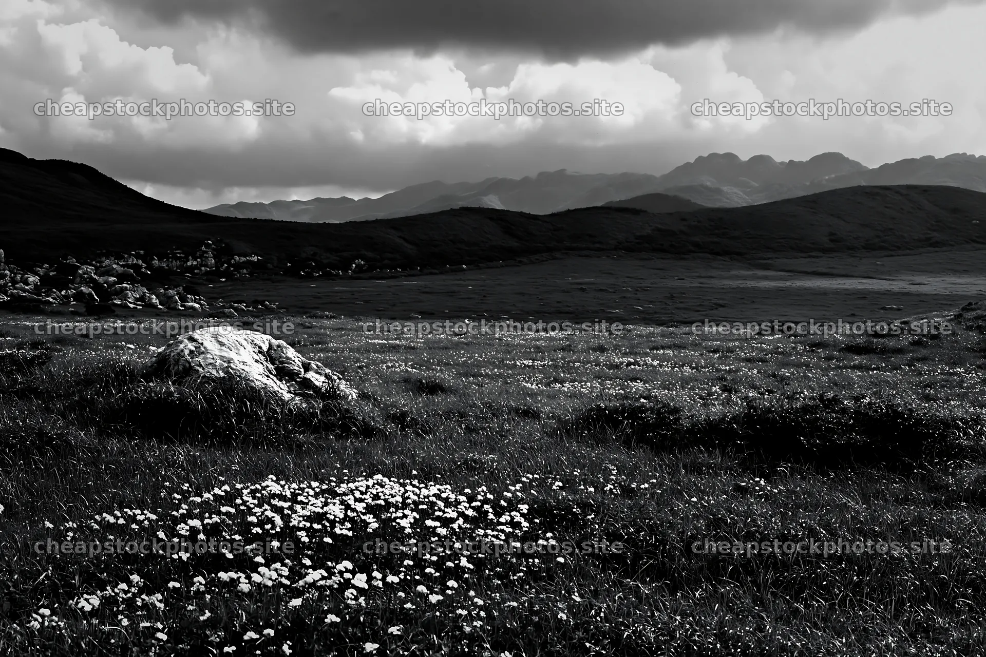 Yamaguchi limestone meadow with pale boulder and flowers – stock photos 9722x6480