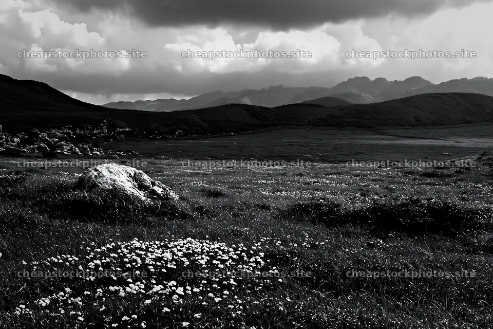 Yamaguchi limestone meadow with pale boulder and flowers – stock photos 9722x6480