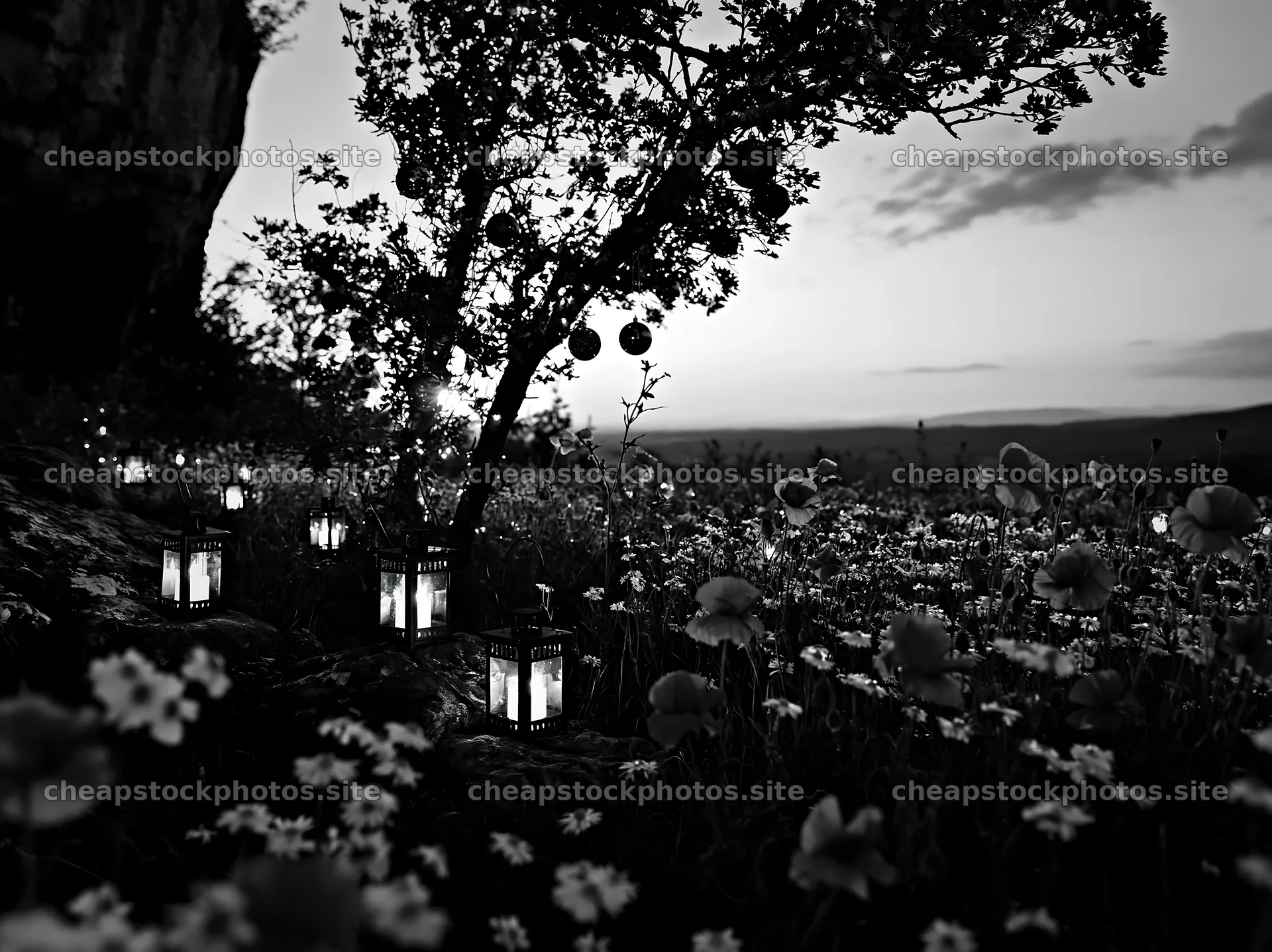 Christmas lanterns glow in meadow near cave at dusk – stock photos 9174x6866