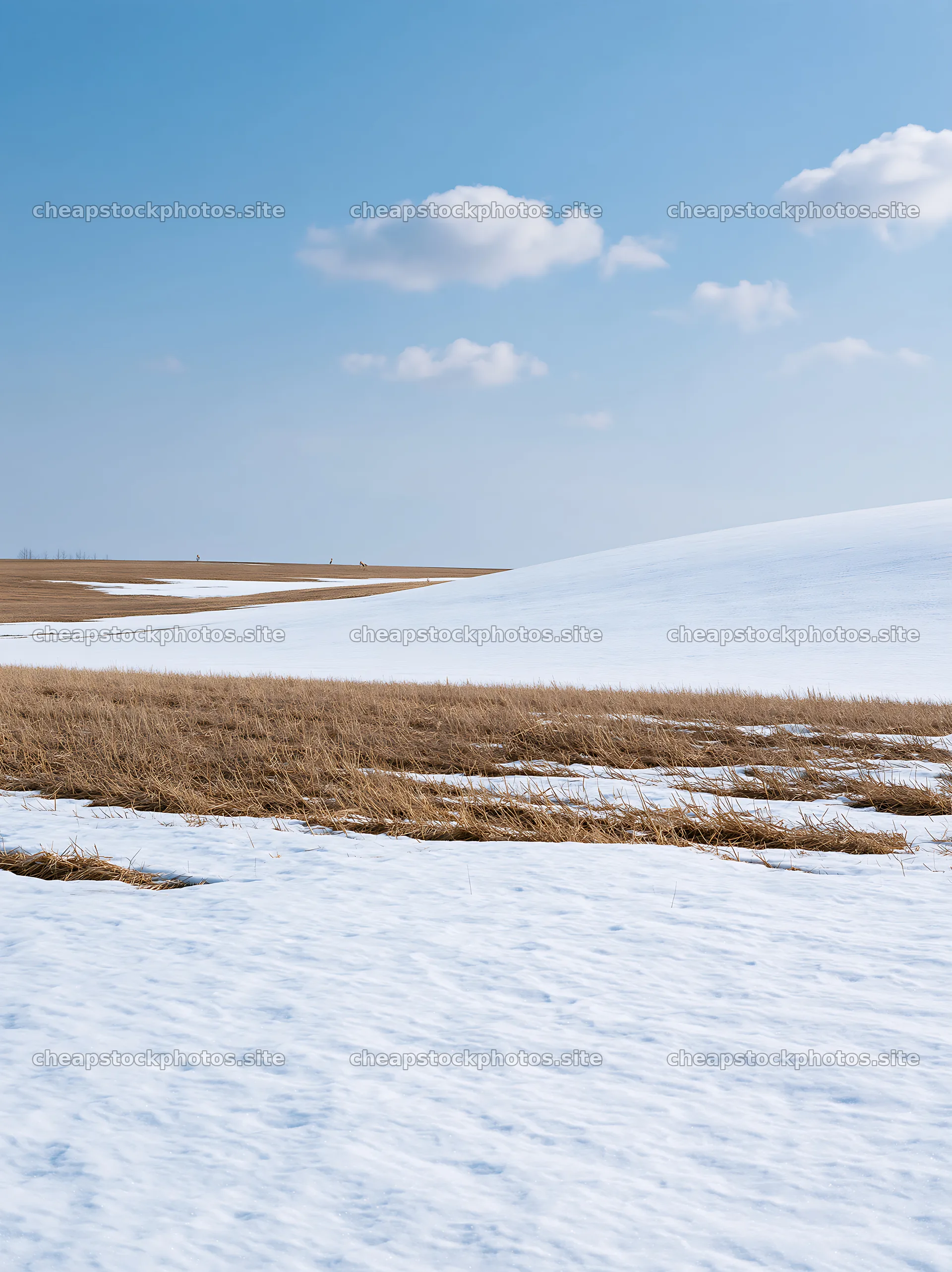 Snow covered hills and meadow in Biei, Japan during winter – stock photos 6866x9174