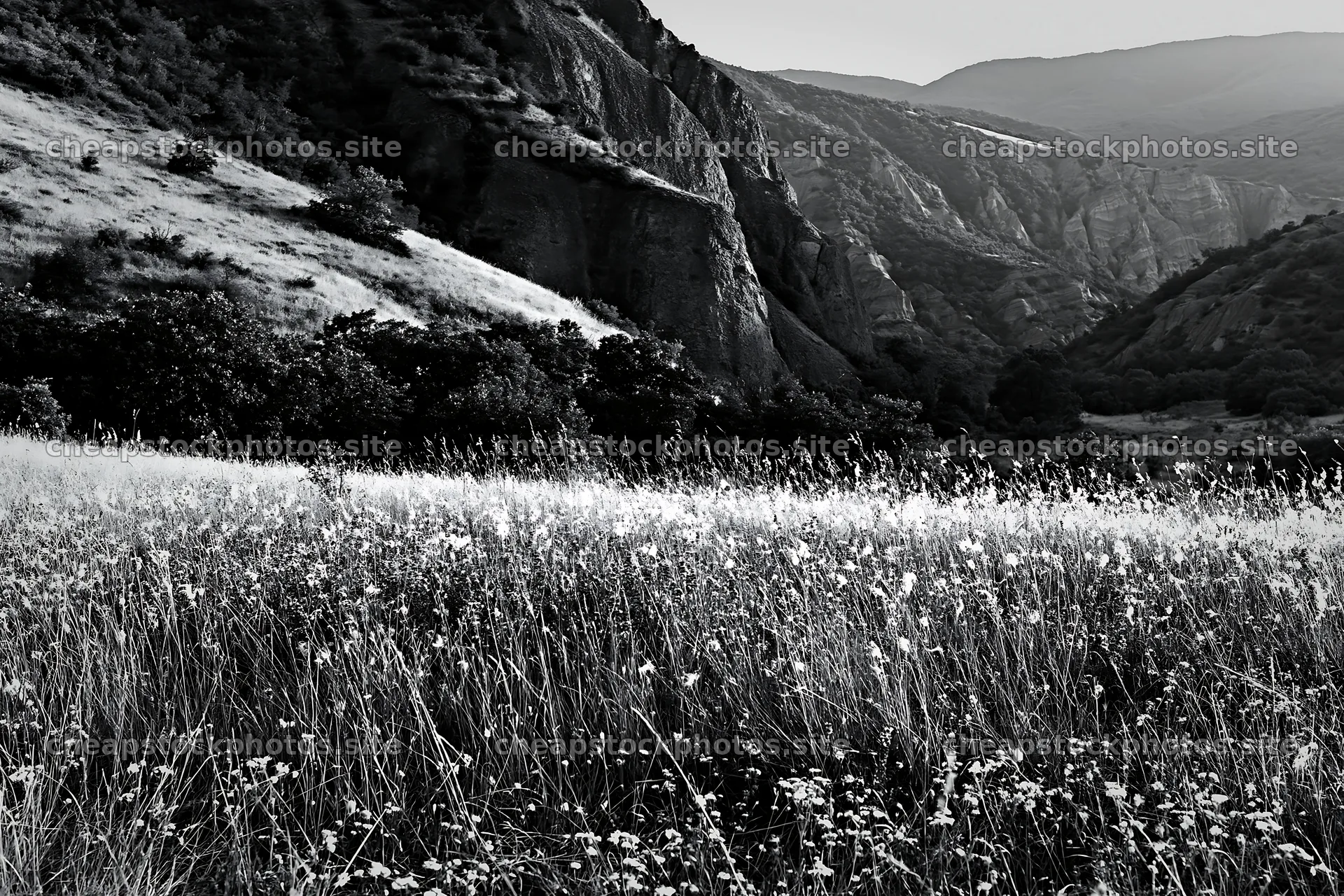 Meadowland with wildflowers and hills in black and white – stock photos 9722x6480