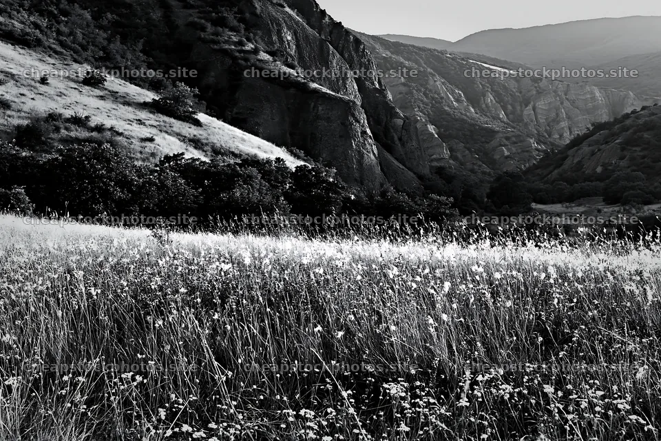 Meadowland with wildflowers and hills in black and white – stock photos 9722x6480