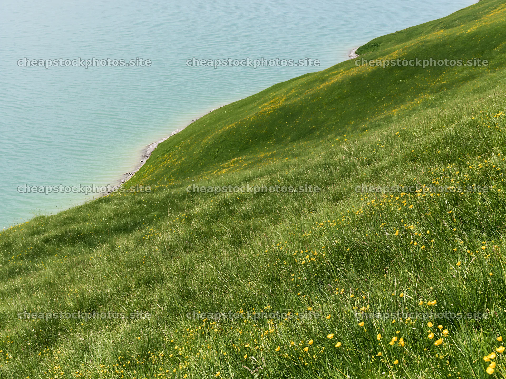 Swiss meadow beside alpine lake in summer – stock photos 9174x6866