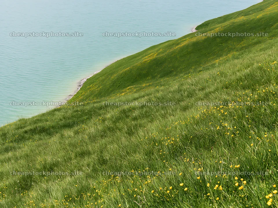 Swiss meadow beside alpine lake in summer – stock photos 9174x6866