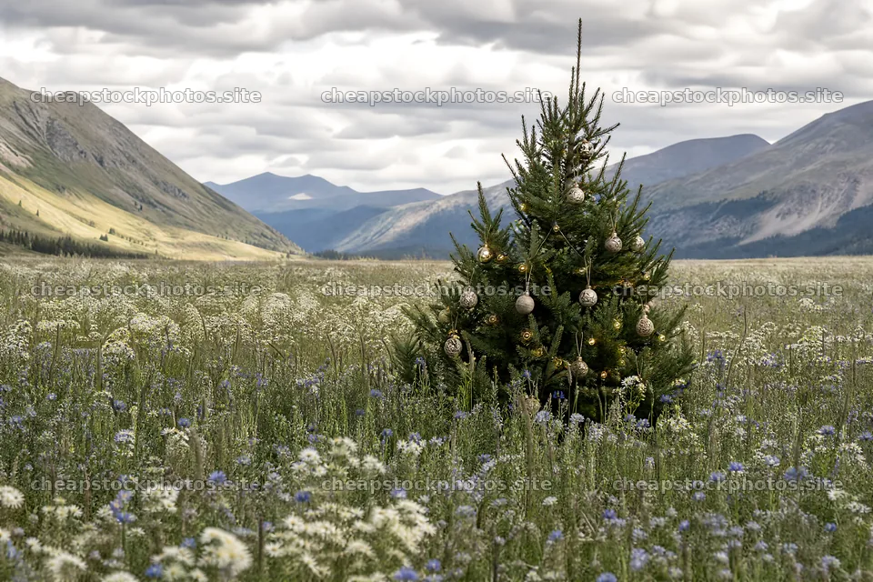 Decorated Christmas tree in mountain valley meadow – stock photos 9722x6480