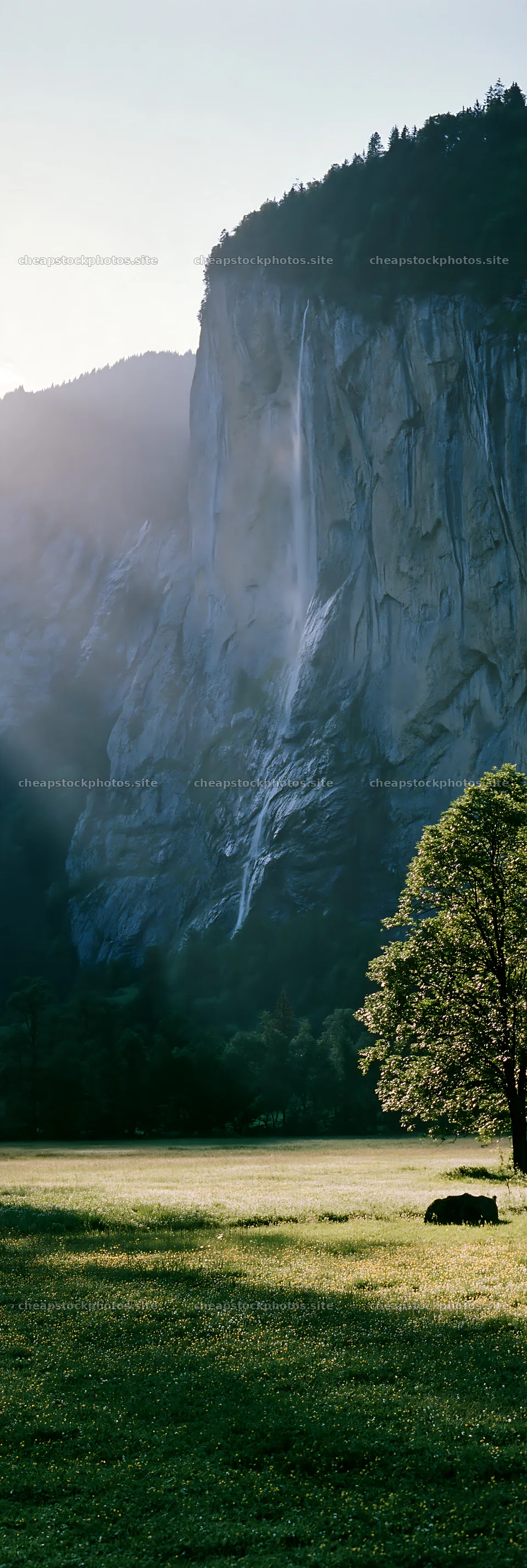 Lauterbrunnen Valley meadow with light rays and distant waterfall – stock photos 4602x13690