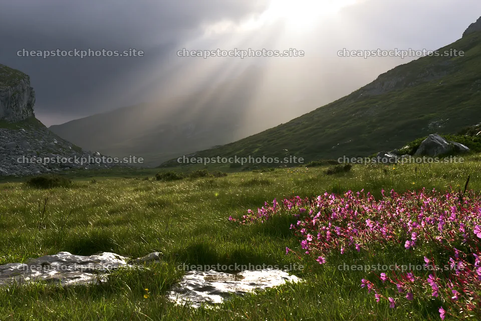 Sunrays shining over Picos de Europa meadow with flowers – stock photos 9722x6480