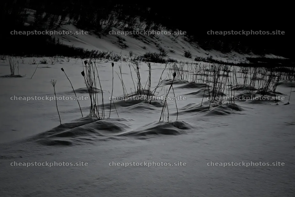 Snowy highland meadow with plants in the landscape – stock photos 9722x6480