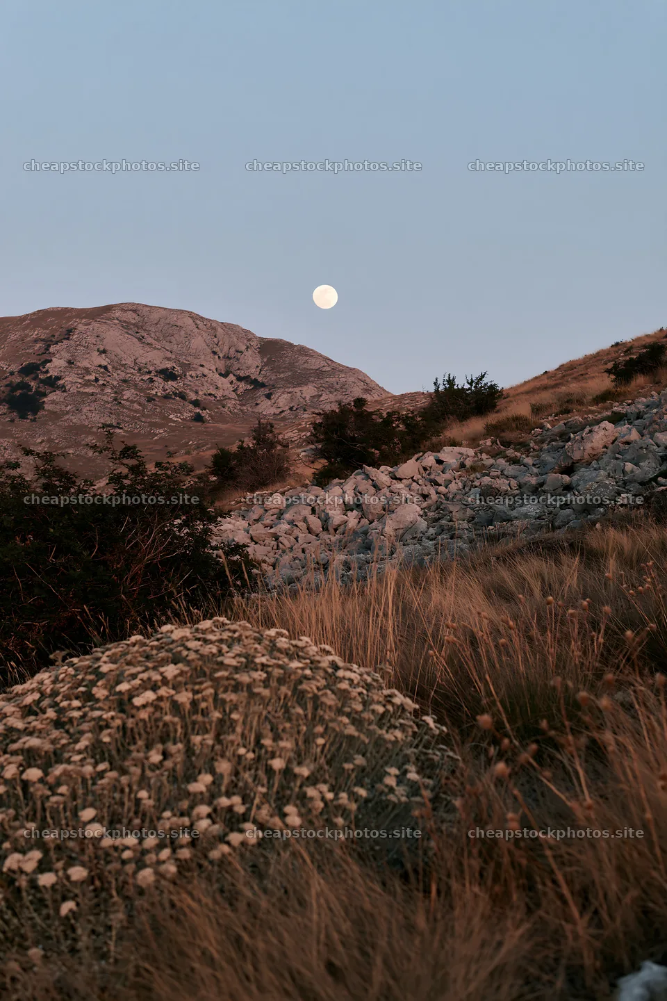 Moonrise over the meadow with rocky hills in the background – stock photos 6480x9722