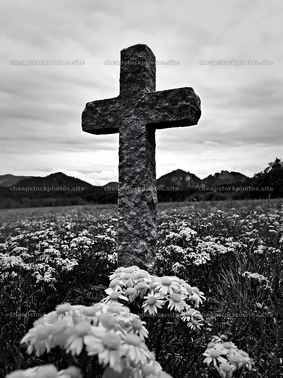 Christian cross in wildflower meadow landscape – stock photos 6866x9174