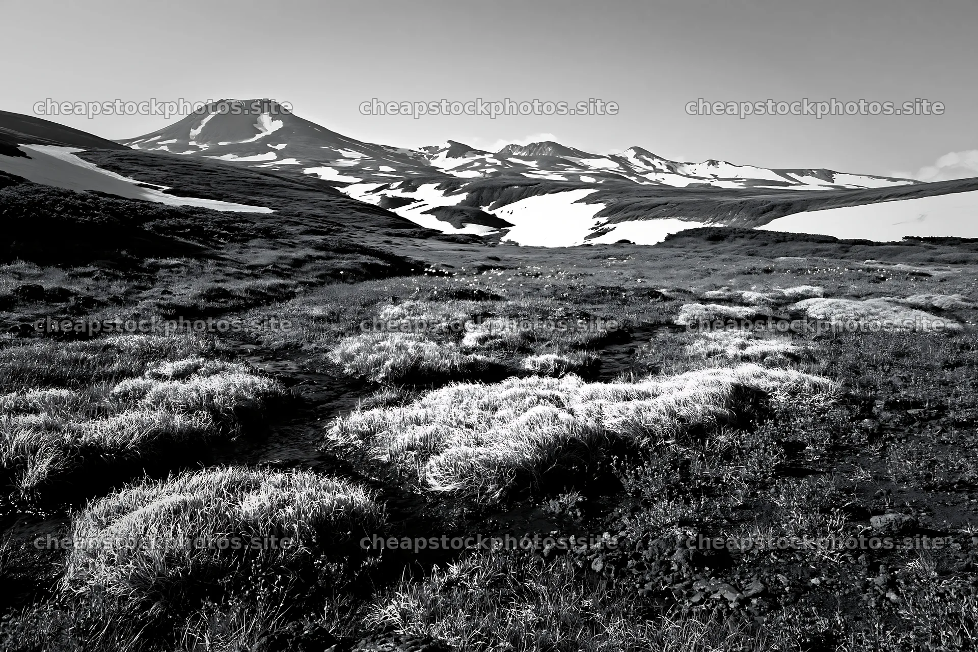 Akita meadow with snowmelt and silver grasses – stock photos 9722x6480