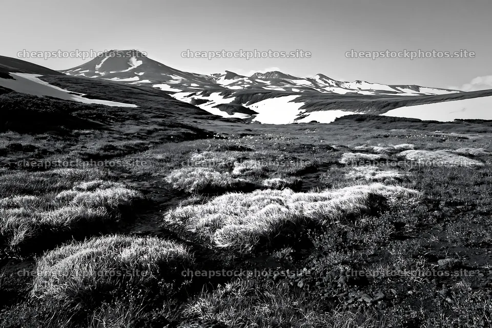 Akita meadow with snowmelt and silver grasses – stock photos 9722x6480