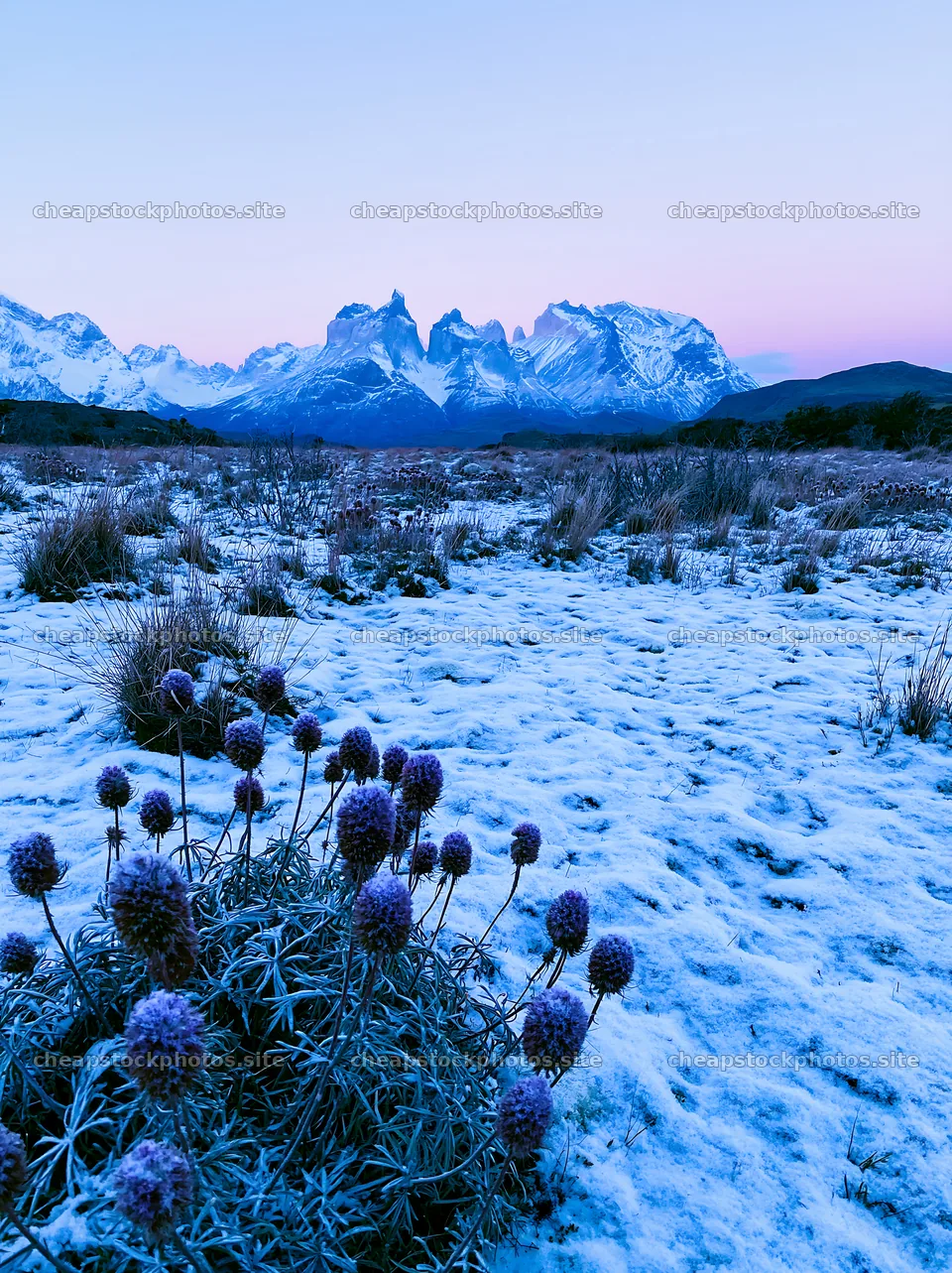 Torres del Paine meadow snow with mountains in the background – stock photos 6866x9174