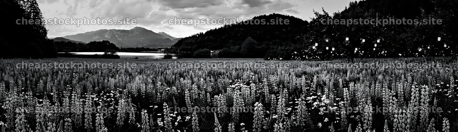 Lanterns in a meadow near Lake Bled during Christmas season – stock photos 14762x4268
