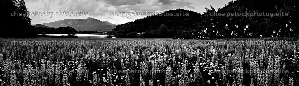 Lanterns in a meadow near Lake Bled during Christmas season – stock photos 14762x4268
