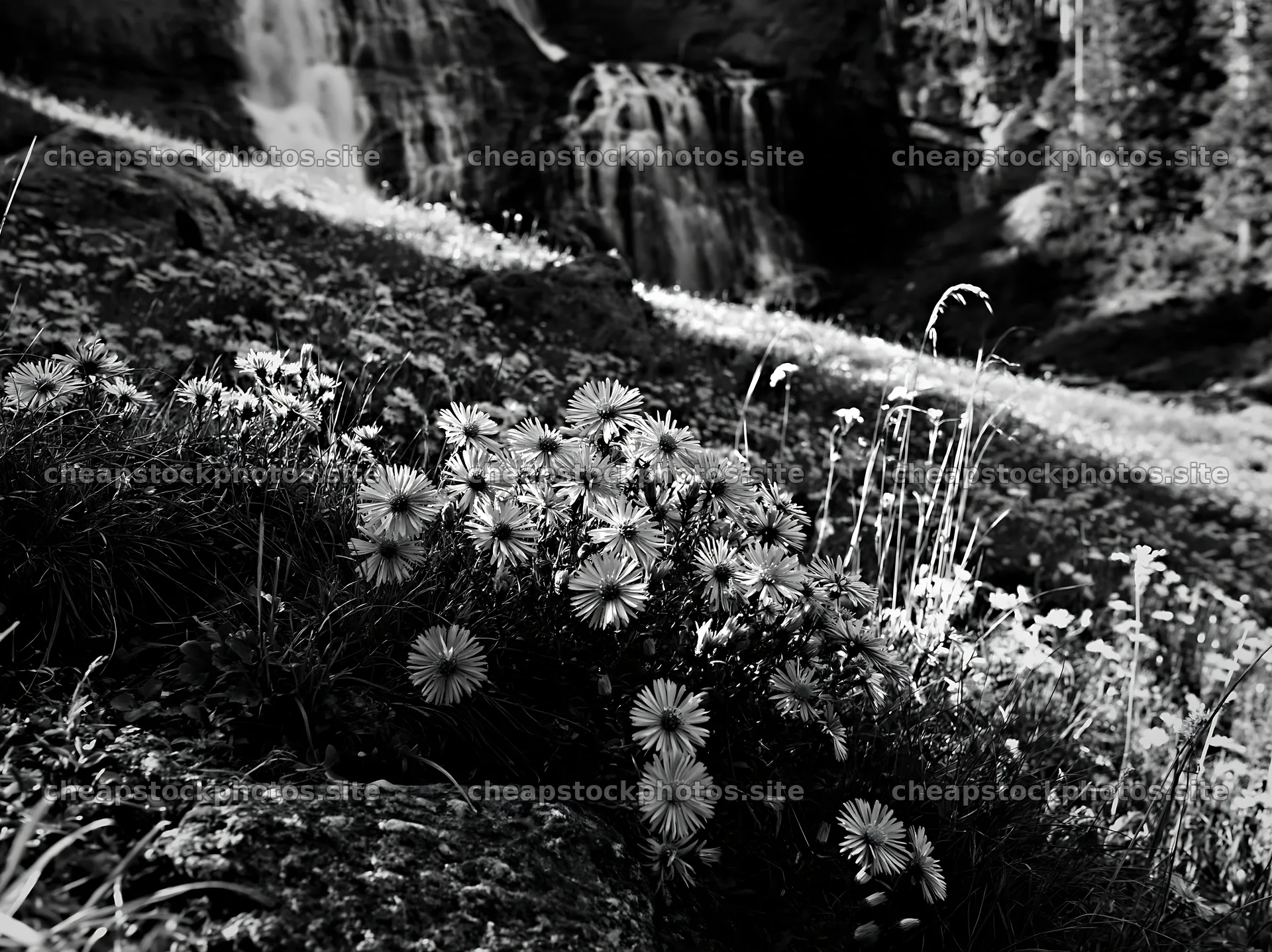 Wildflower meadow under cascading falls in black and white – stock photos 9174x6866
