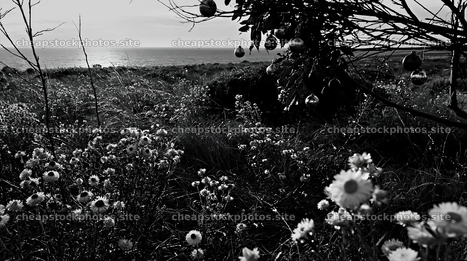 Wide Christmas meadow with native flowers and fairy lights – stock photos 10608x5938