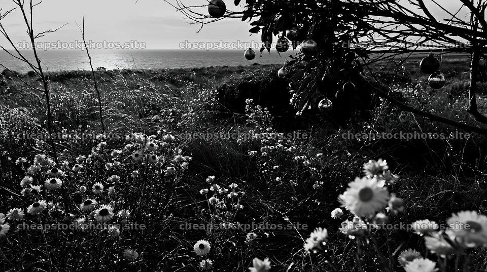 Wide Christmas meadow with native flowers and fairy lights – stock photos 10608x5938