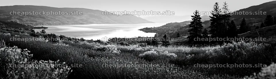 Colorful lavender meadow by the lake with distant hills – stock photos 14762x4268