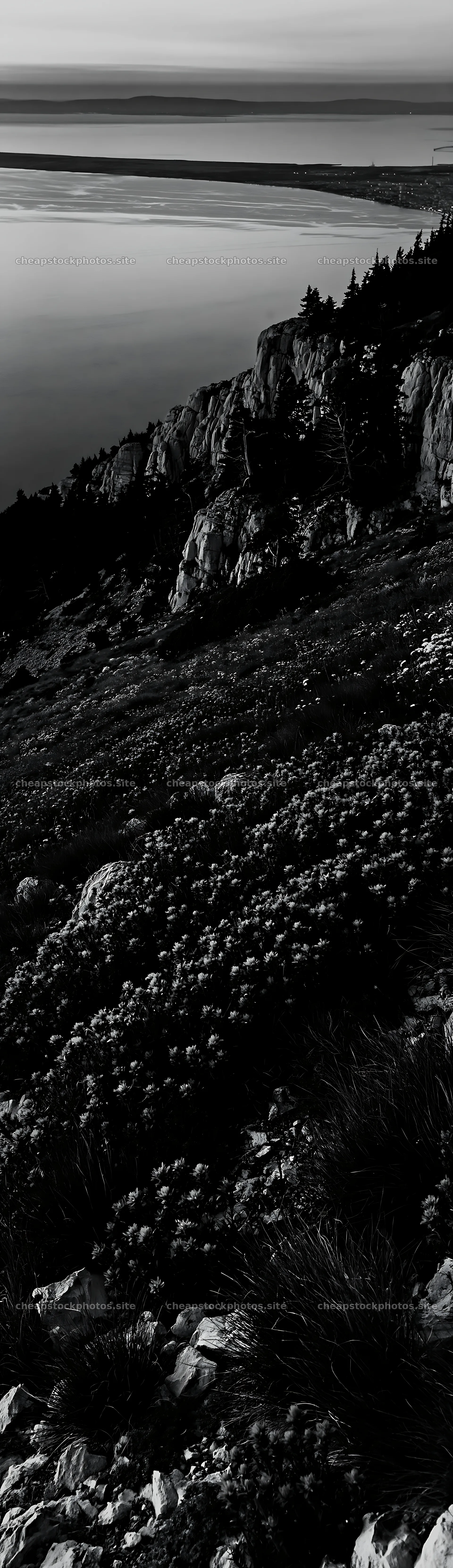 Croatian meadow above Adriatic coast with red flowers – stock photos 4268x14762