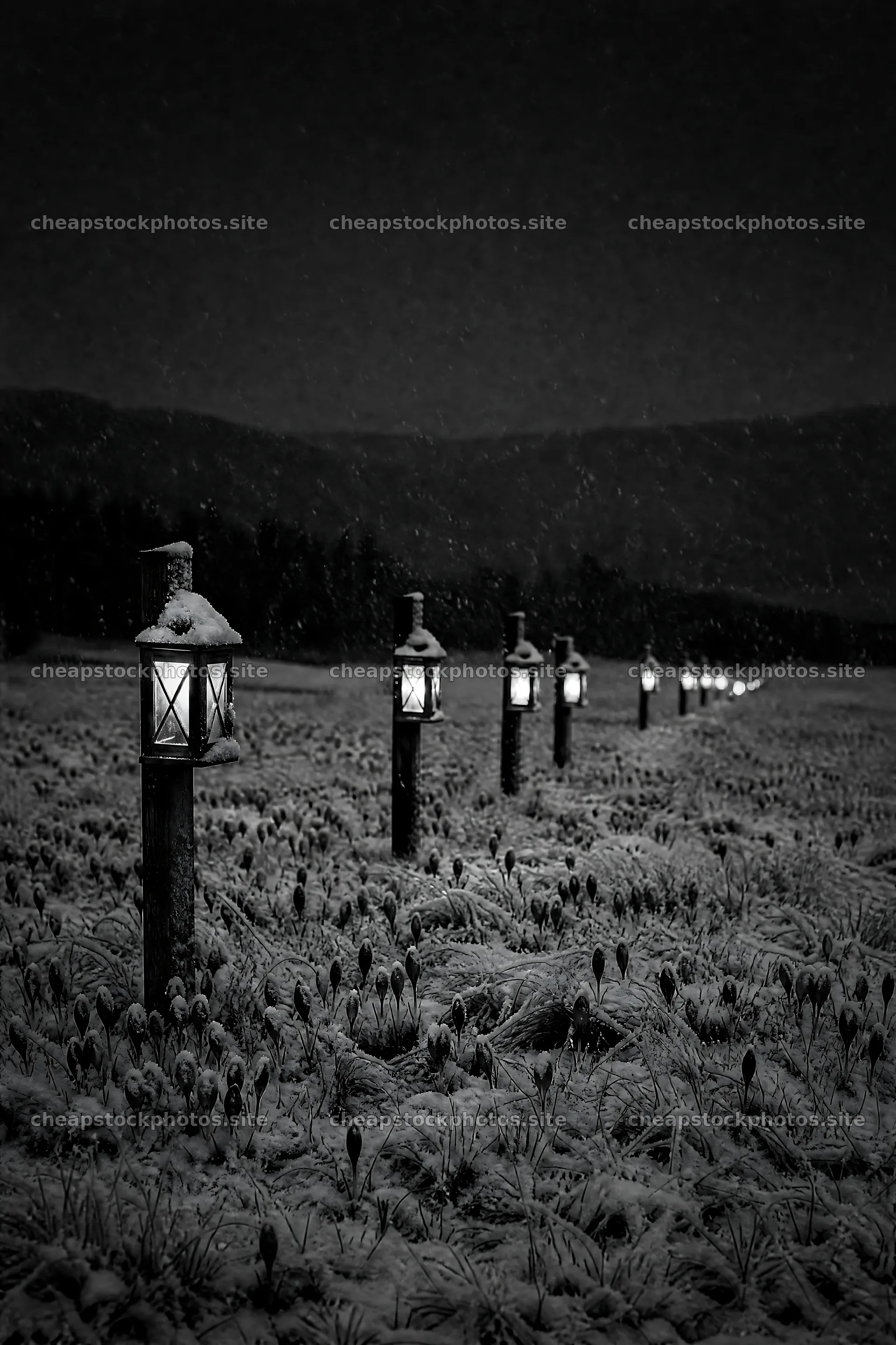 Vibrant Christmas lanterns illuminate a winter meadow – stock photos 6480x9722