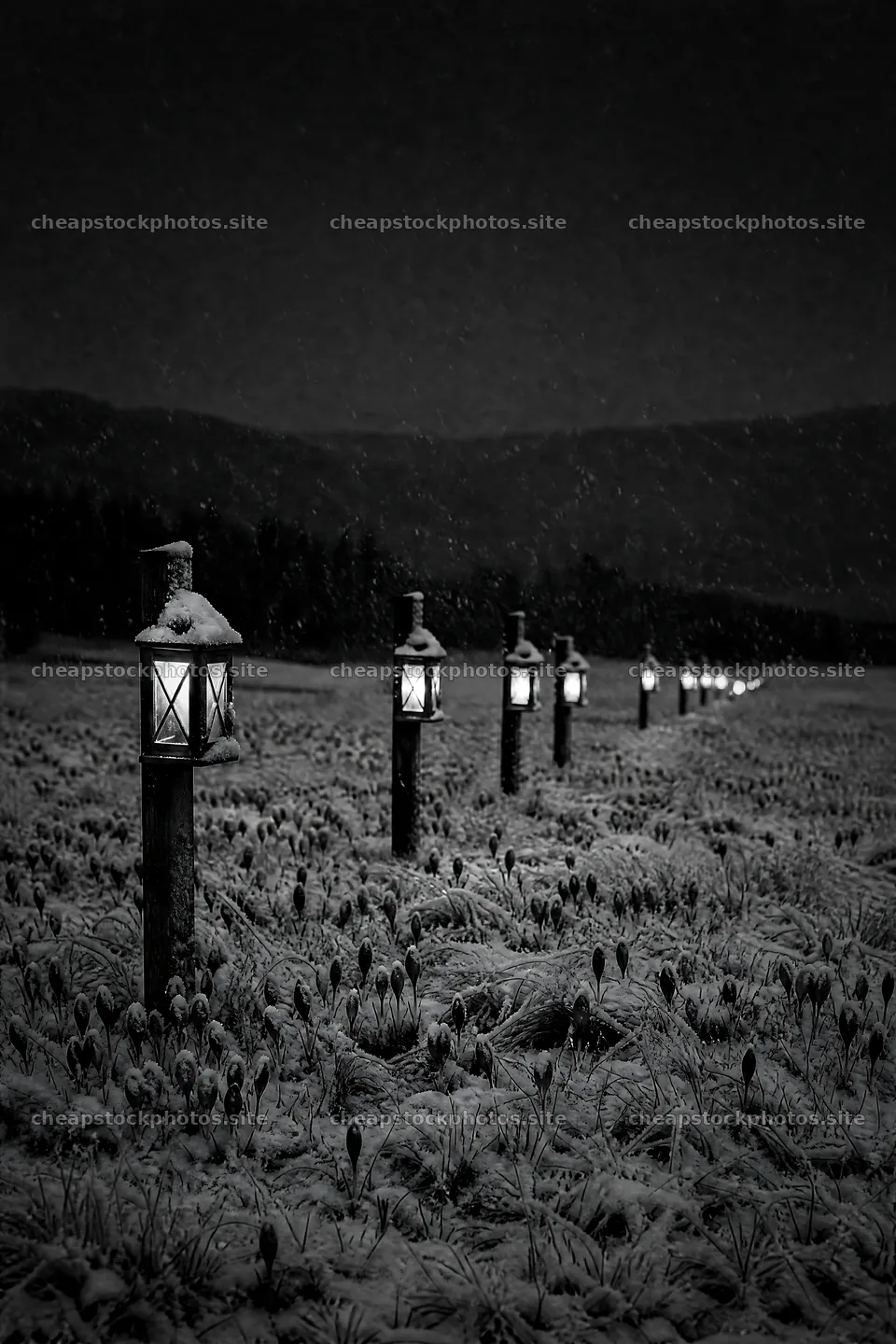 Vibrant Christmas lanterns illuminate a winter meadow – stock photos 6480x9722