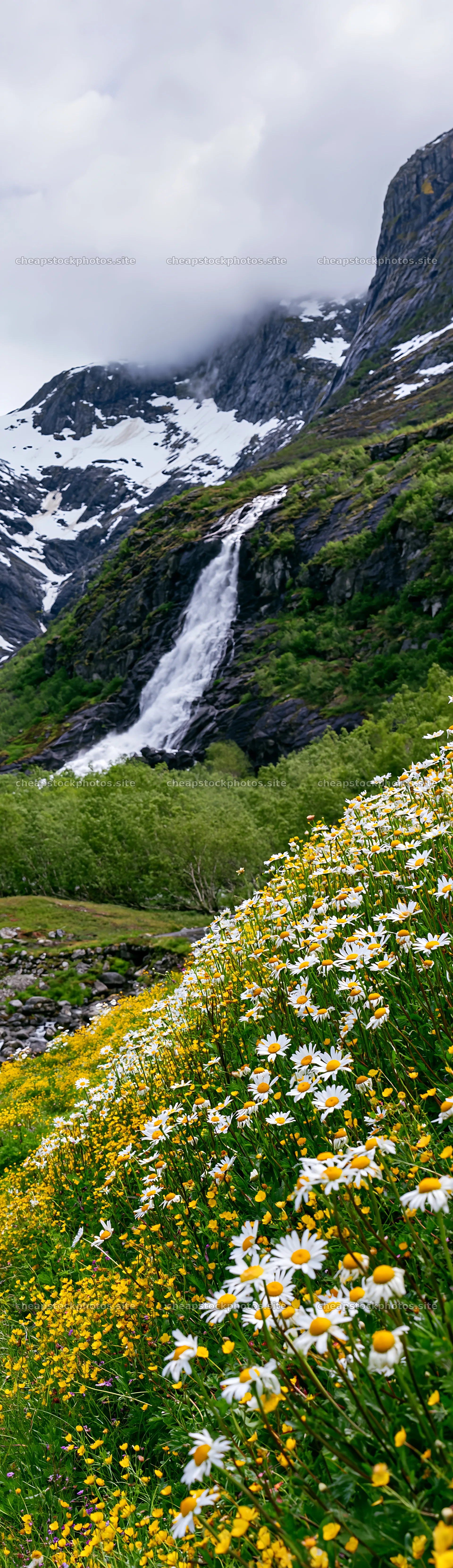 Colorful daisy meadow with waterfall in mountainous landscape – stock photos 4268x14762