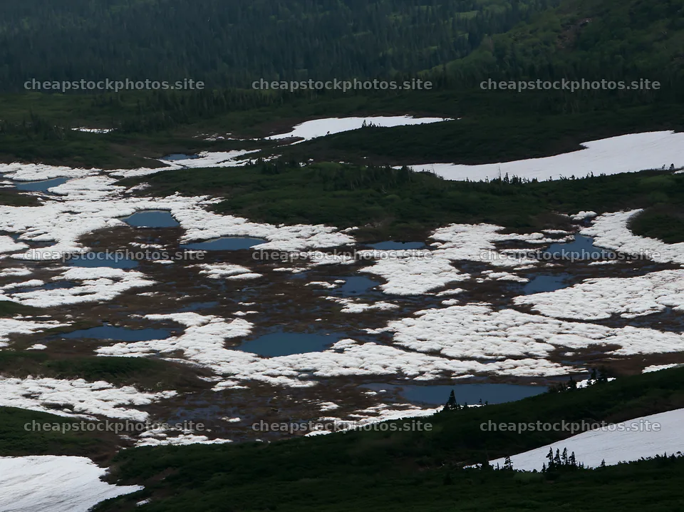 Akita snowmelt meadow with silver grasses and patches of water – stock photos 9174x6866